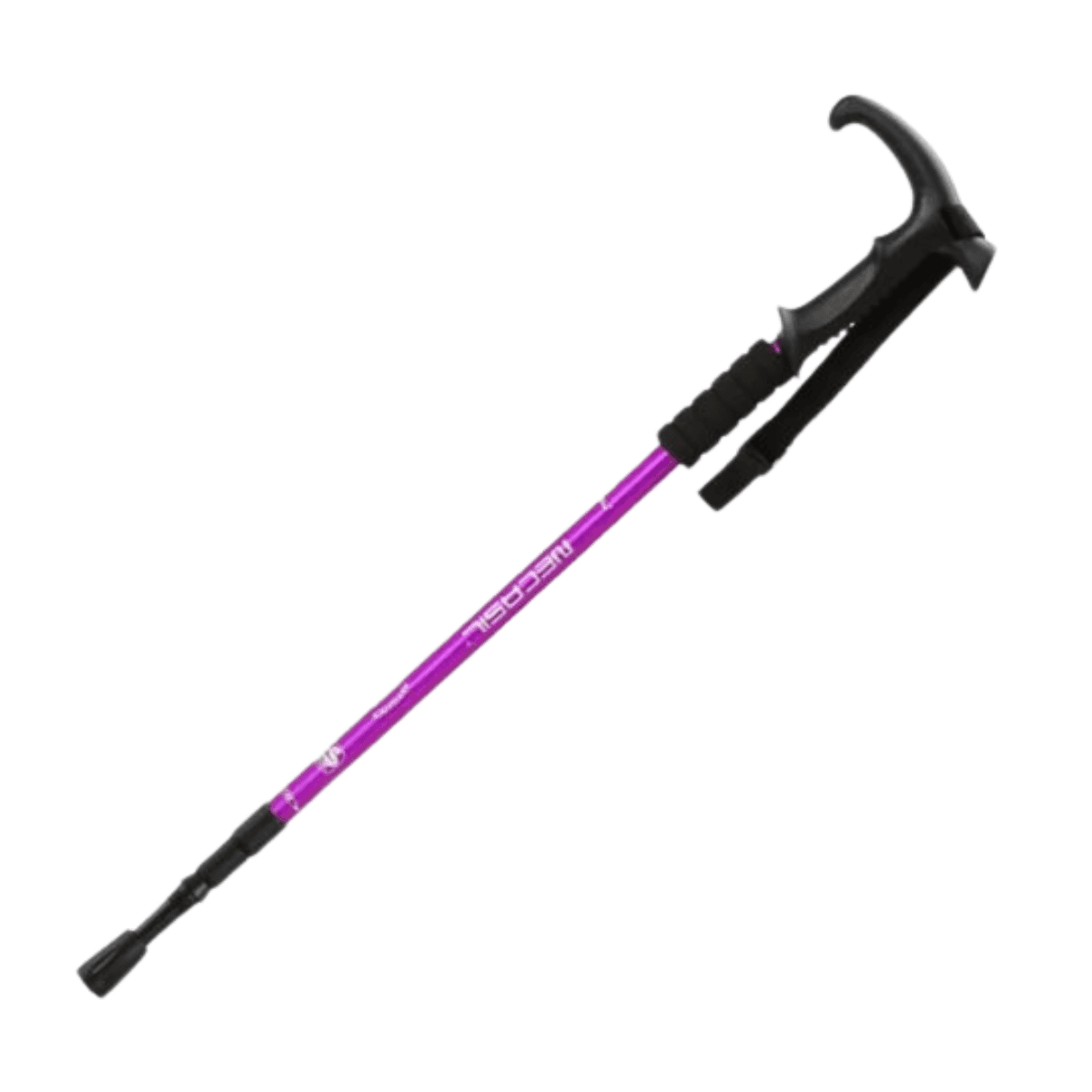 Adventure Hiking Stick